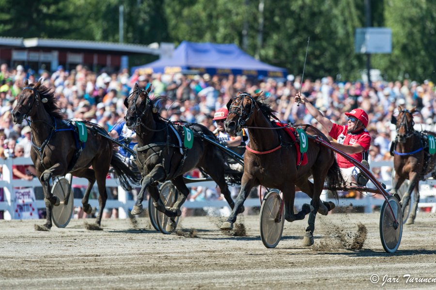 28.7.2013 - (Kuninkuusravit)