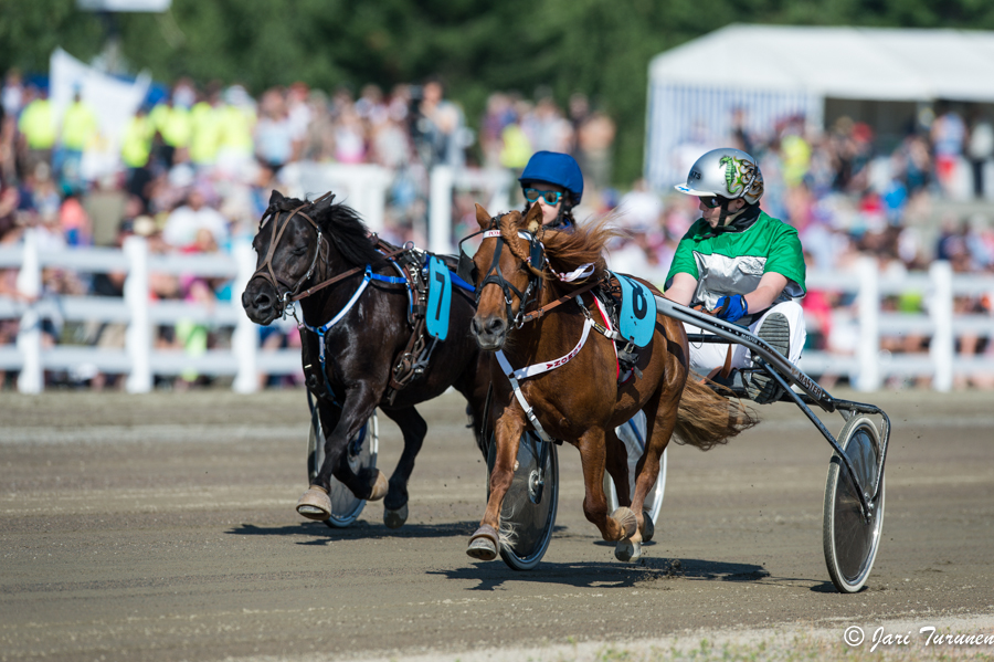 28.7.2013 - (Kuninkuusravit)