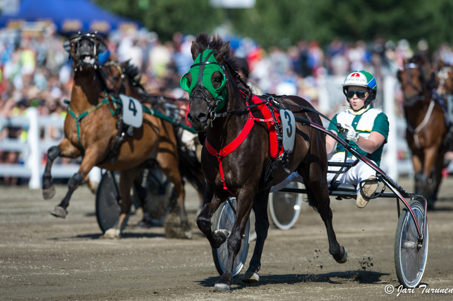 28.7.2013 - (Kuninkuusravit)