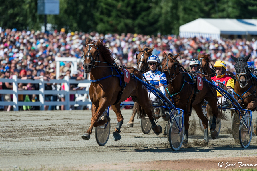 28.7.2013 - (Kuninkuusravit)