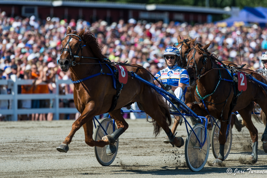 28.7.2013 - (Kuninkuusravit)