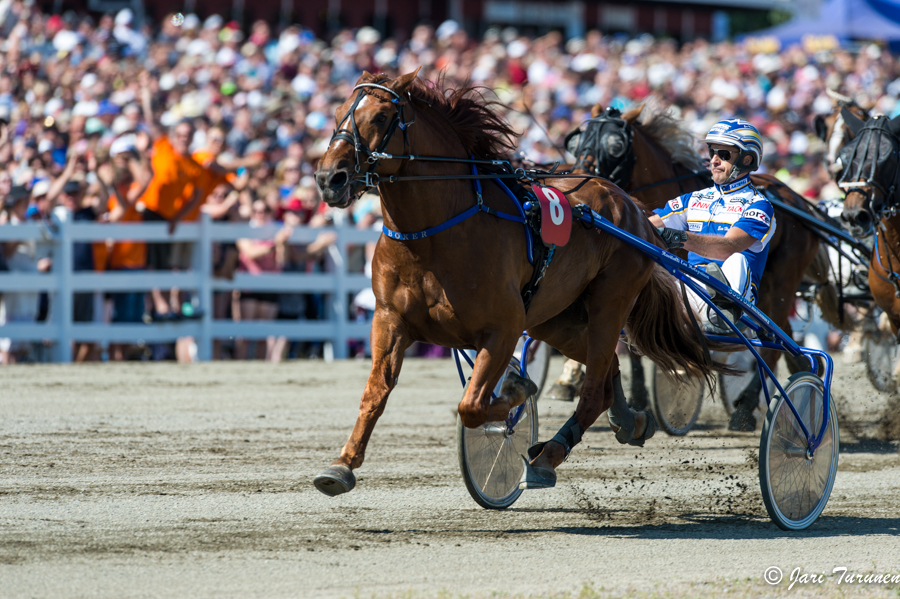 28.7.2013 - (Kuninkuusravit)