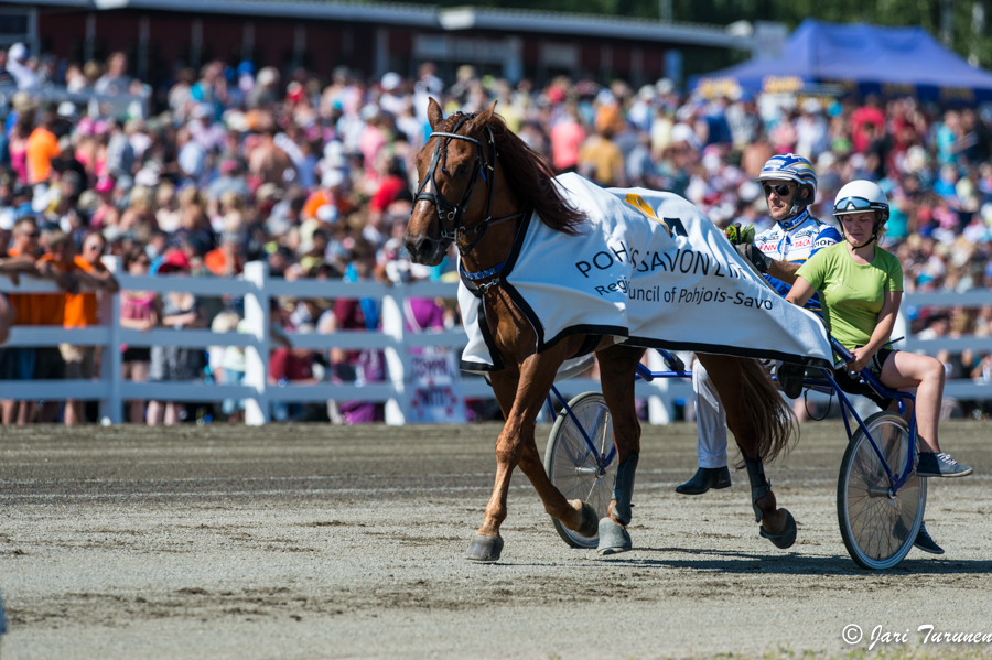 28.7.2013 - (Kuninkuusravit)
