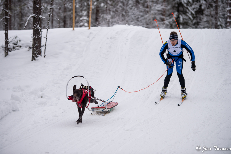 15.02.2014-(Koiravaljakko SM)