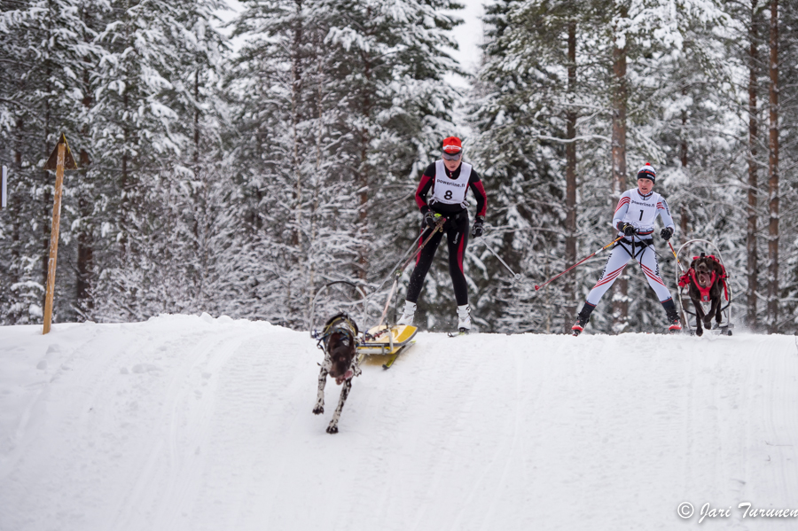 15.02.2014-(Koiravaljakko SM)