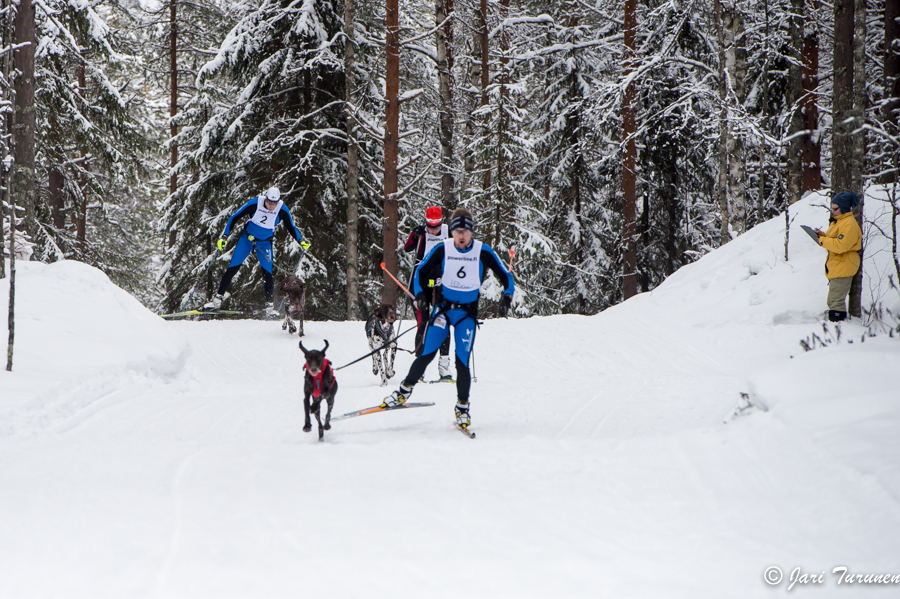 15.02.2014-(Koiravaljakko SM)