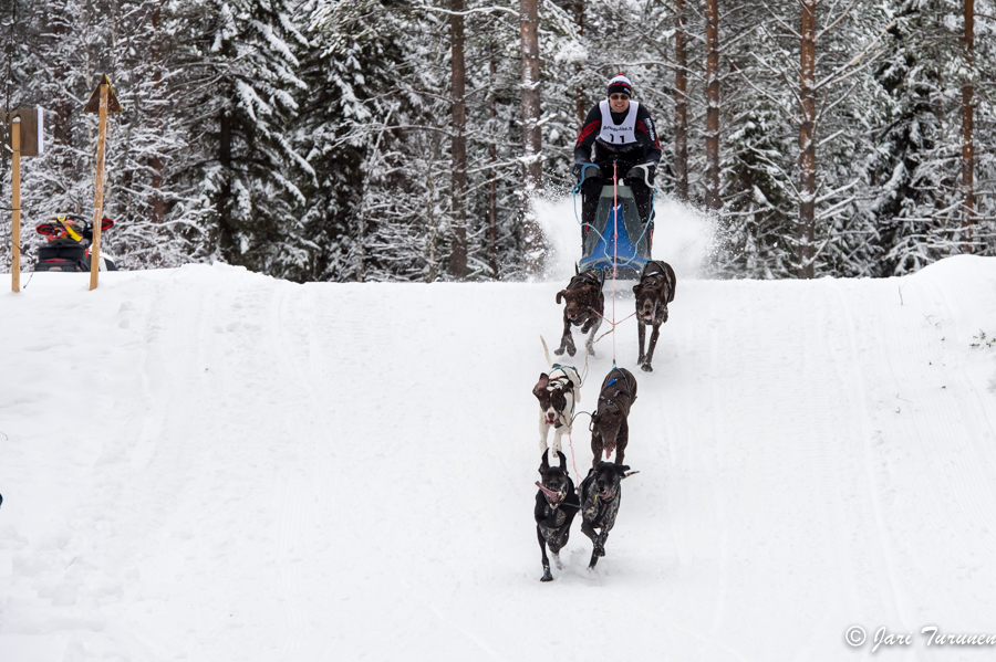 15.02.2014-(Koiravaljakko SM)