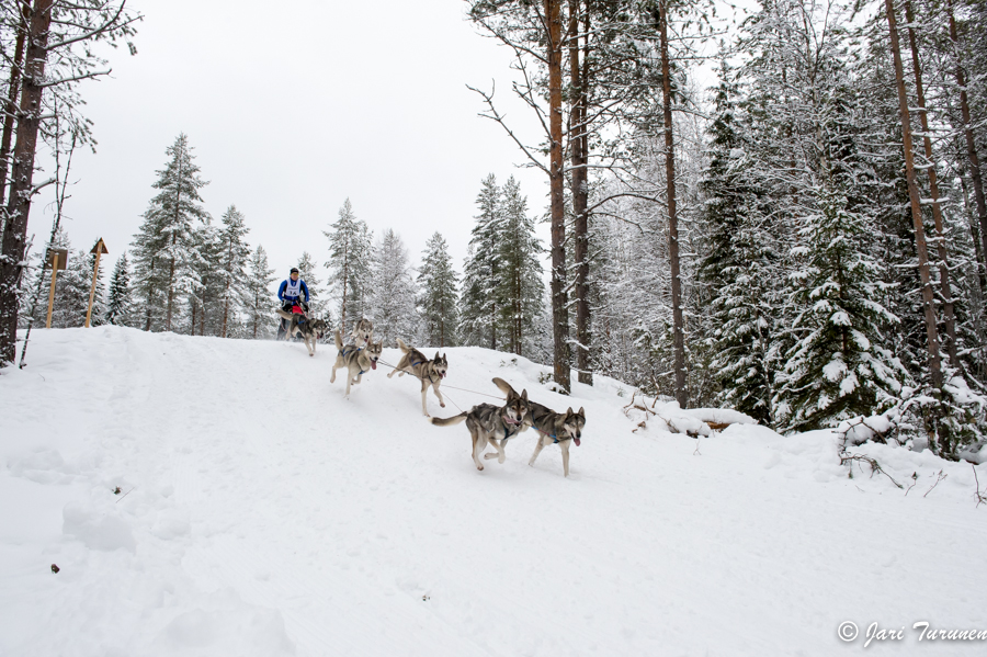 15.02.2014-(Koiravaljakko SM)