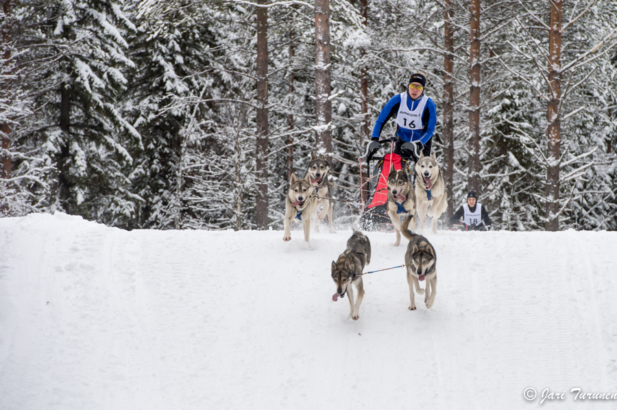 15.02.2014-(Koiravaljakko SM)