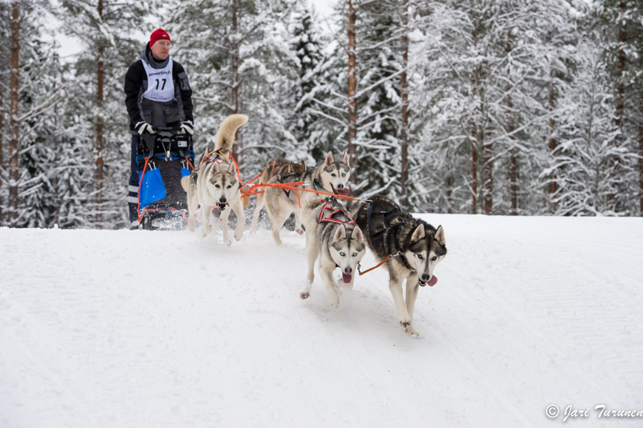 15.02.2014-(Koiravaljakko SM)