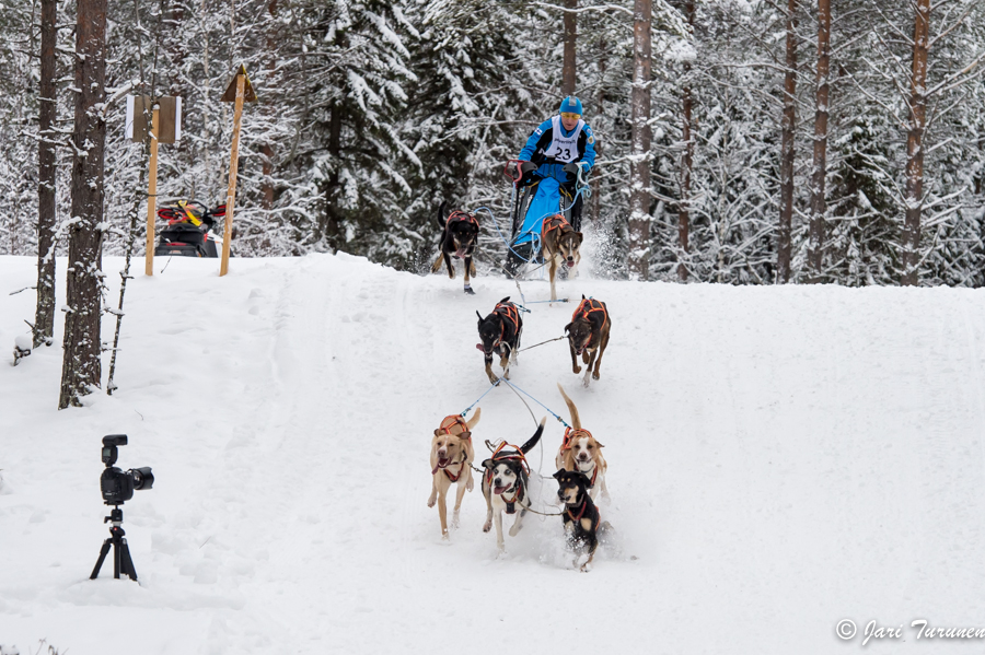 15.02.2014-(Koiravaljakko SM)