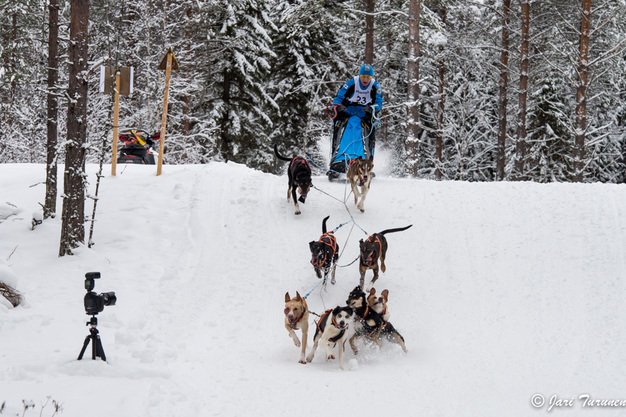 15.02.2014-(Koiravaljakko SM)