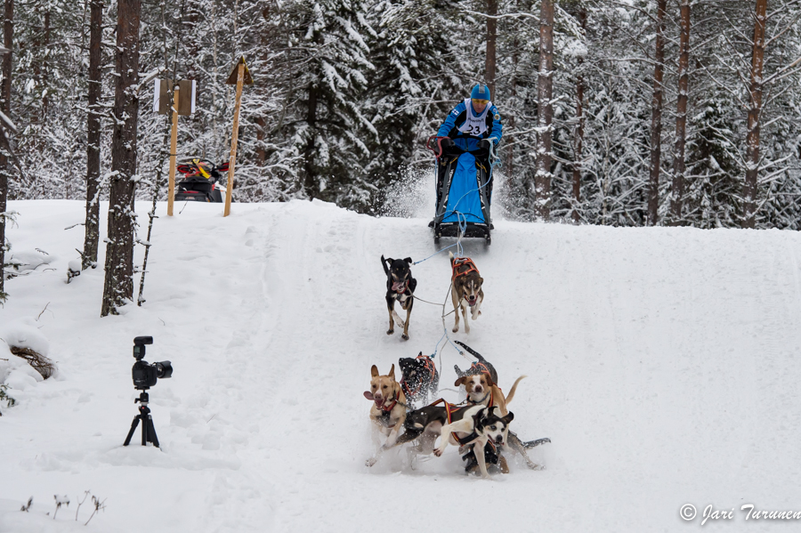 15.02.2014-(Koiravaljakko SM)