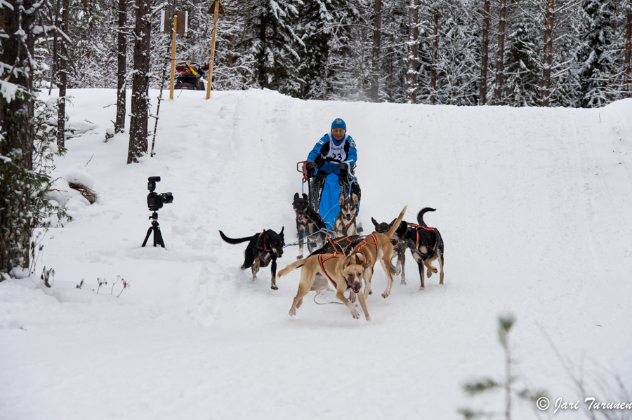 15.02.2014-(Koiravaljakko SM)