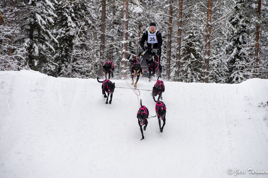 15.02.2014-(Koiravaljakko SM)