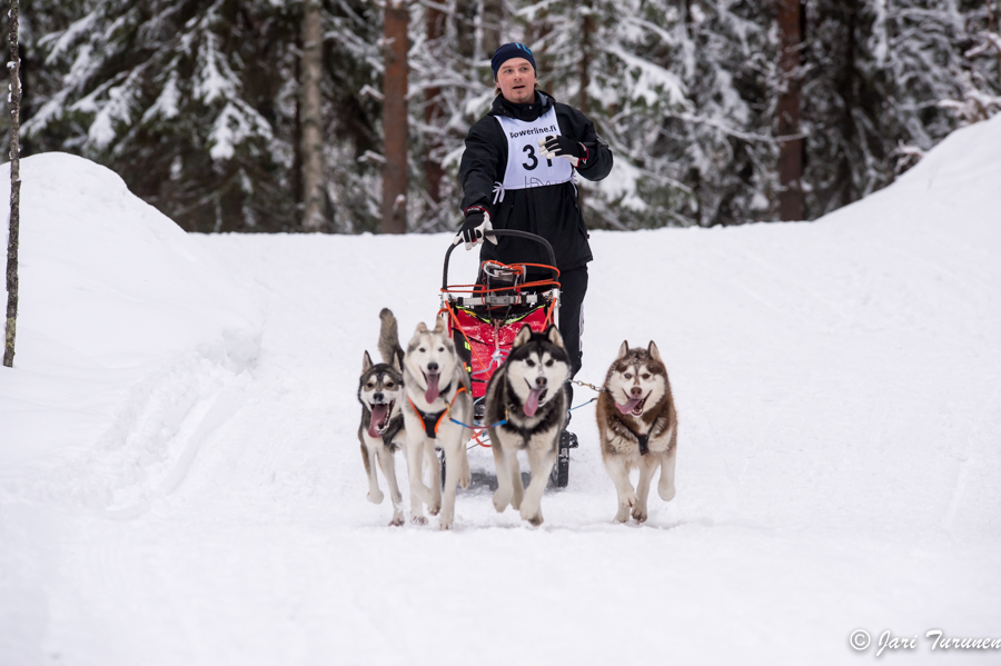 15.02.2014-(Koiravaljakko SM)