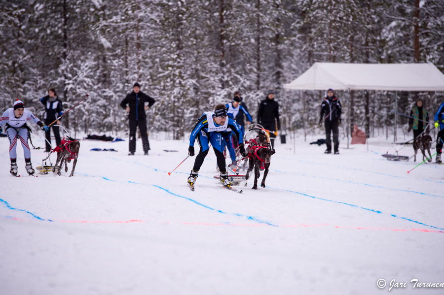 15.02.2014-(Koiravaljakko SM)