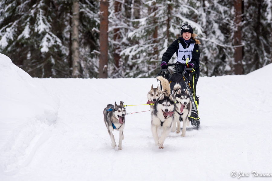 15.02.2014-(Koiravaljakko SM)