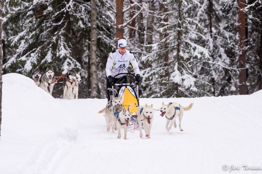 15.02.2014-(Koiravaljakko SM)