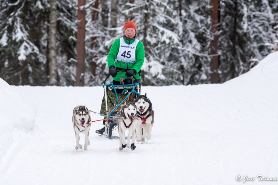 15.02.2014-(Koiravaljakko SM)