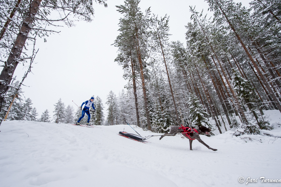 15.02.2014-(Koiravaljakko SM)