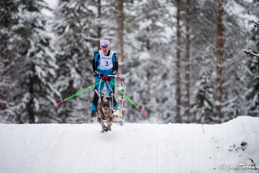 15.02.2014-(Koiravaljakko SM)