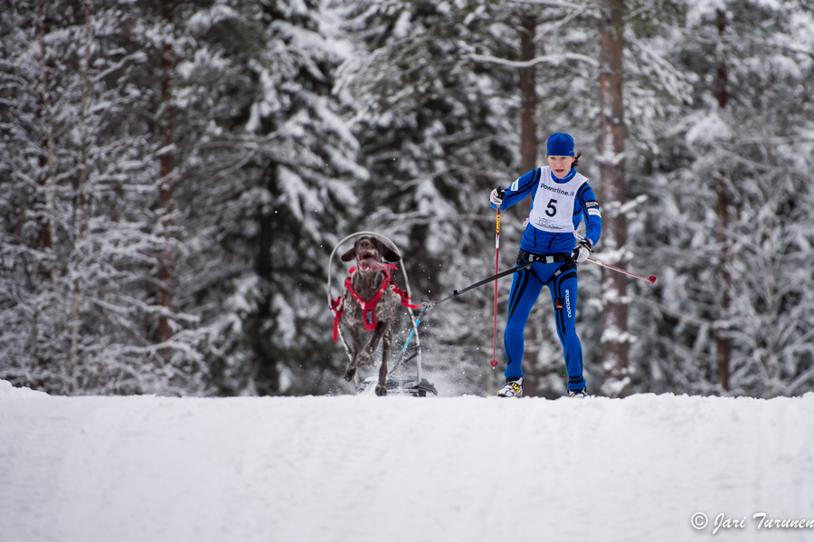 15.02.2014-(Koiravaljakko SM)