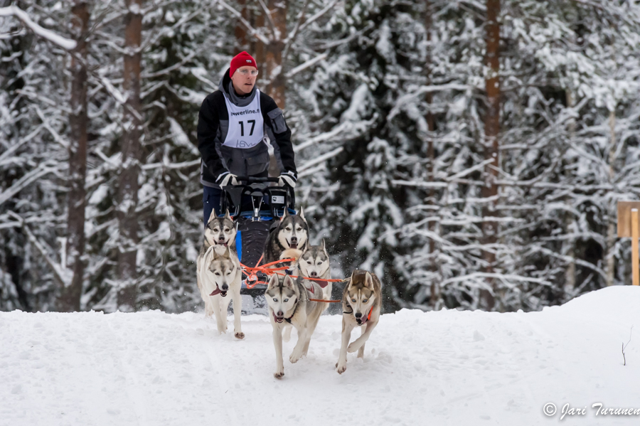 16.02.2014-(Koiravaljakko SM)