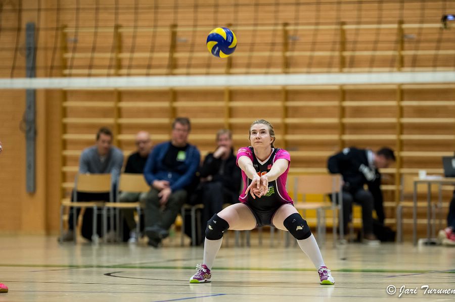 31.3.2016 - (Puijo Wolley N-MesTo N) 31.3.2016 - (Puijo Wolley N-MesTo N)