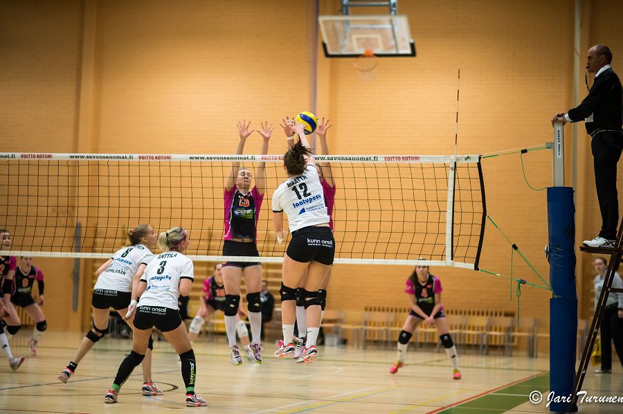 31.3.2016 - (Puijo Wolley N-MesTo N) 31.3.2016 - (Puijo Wolley N-MesTo N)