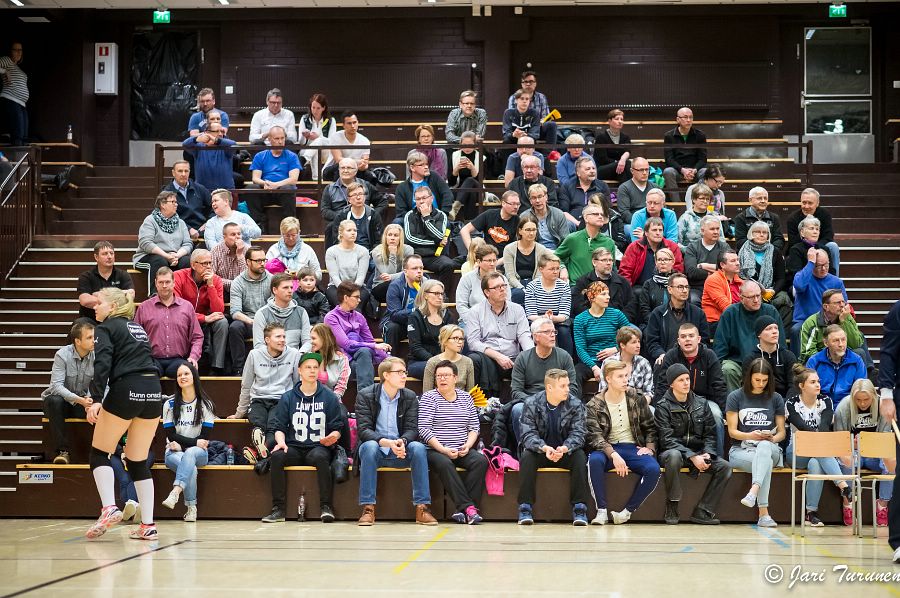 31.3.2016 - (Puijo Wolley N-MesTo N) 31.3.2016 - (Puijo Wolley N-MesTo N)