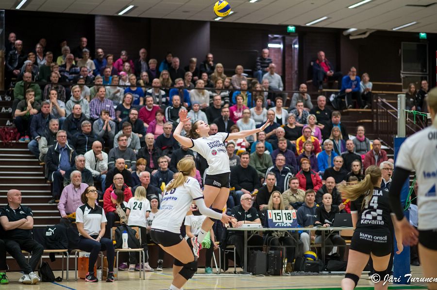 31.3.2016 - (Puijo Wolley N-MesTo N) 31.3.2016 - (Puijo Wolley N-MesTo N)