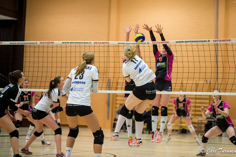 31.3.2016 - (Puijo Wolley N-MesTo N) 31.3.2016 - (Puijo Wolley N-MesTo N)