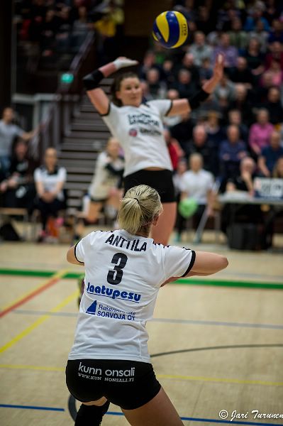 31.3.2016 - (Puijo Wolley N-MesTo N) 31.3.2016 - (Puijo Wolley N-MesTo N)