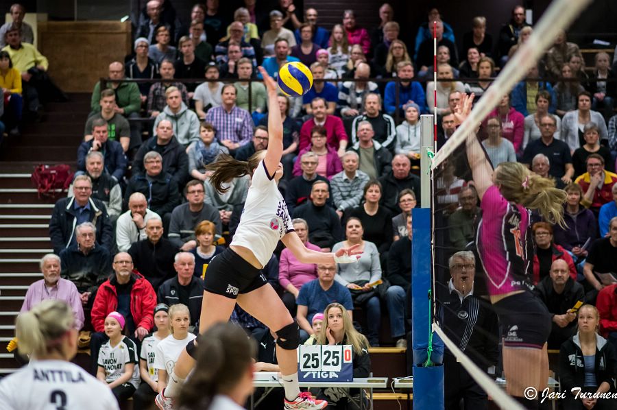 31.3.2016 - (Puijo Wolley N-MesTo N) 31.3.2016 - (Puijo Wolley N-MesTo N)