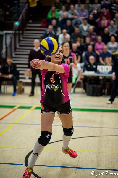 31.3.2016 - (Puijo Wolley N-MesTo N) 31.3.2016 - (Puijo Wolley N-MesTo N)