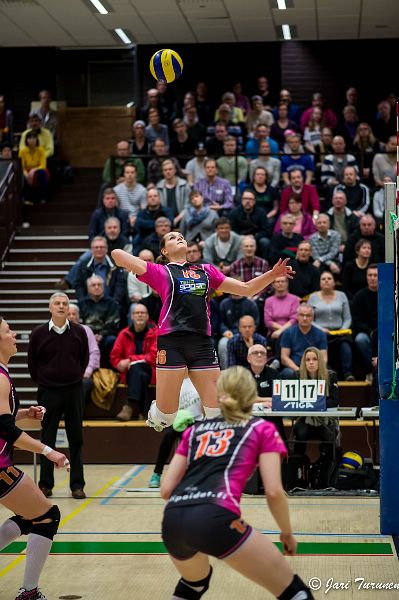 31.3.2016 - (Puijo Wolley N-MesTo N) 31.3.2016 - (Puijo Wolley N-MesTo N)