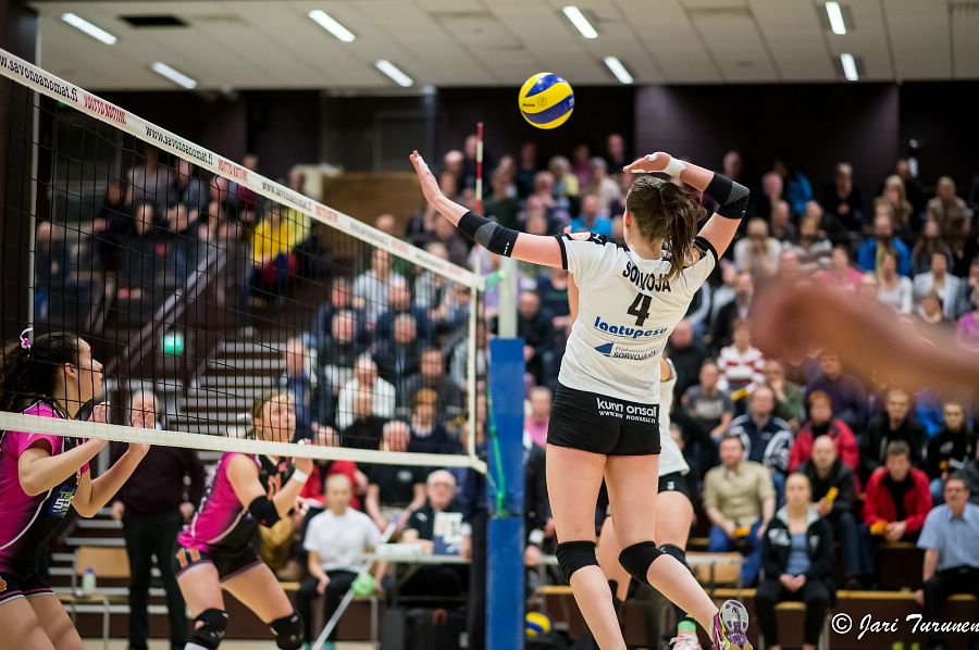 31.3.2016 - (Puijo Wolley N-MesTo N) 31.3.2016 - (Puijo Wolley N-MesTo N)