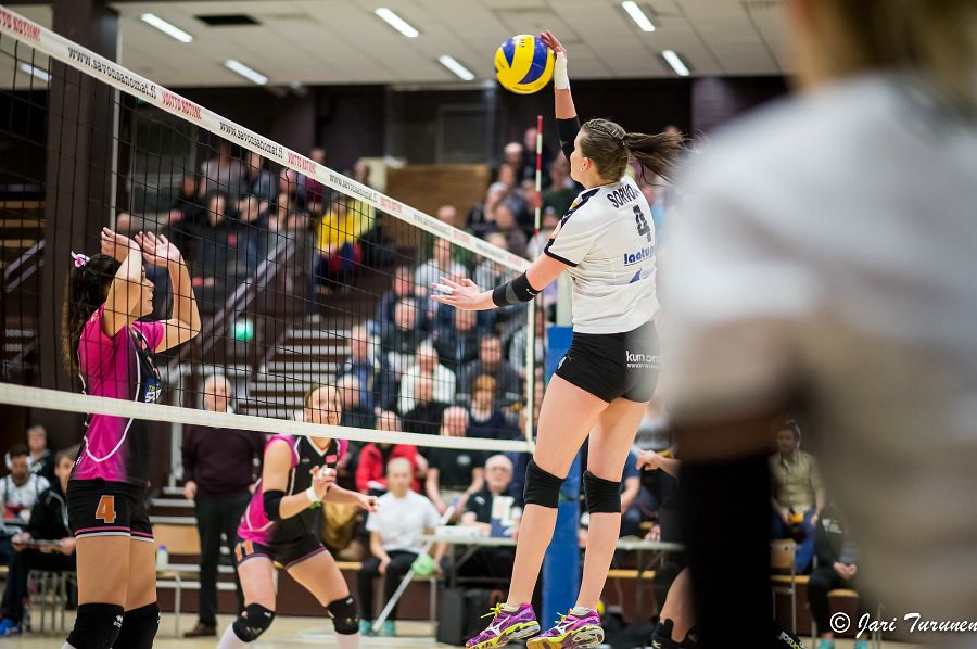 31.3.2016 - (Puijo Wolley N-MesTo N) 31.3.2016 - (Puijo Wolley N-MesTo N)