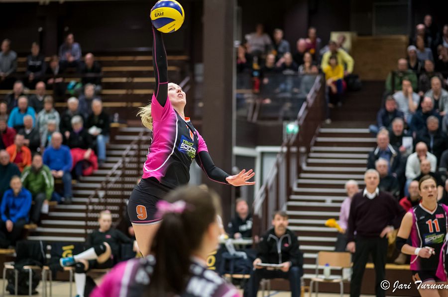 31.3.2016 - (Puijo Wolley N-MesTo N) 31.3.2016 - (Puijo Wolley N-MesTo N)