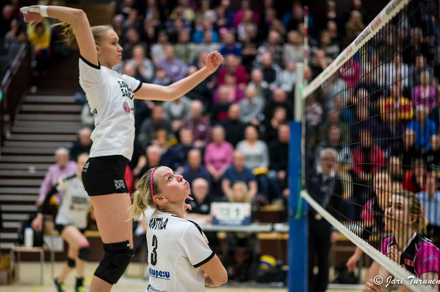 31.3.2016 - (Puijo Wolley N-MesTo N) 31.3.2016 - (Puijo Wolley N-MesTo N)