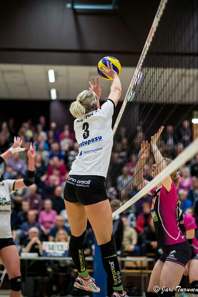 31.3.2016 - (Puijo Wolley N-MesTo N) 31.3.2016 - (Puijo Wolley N-MesTo N)