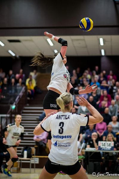 31.3.2016 - (Puijo Wolley N-MesTo N) 31.3.2016 - (Puijo Wolley N-MesTo N)