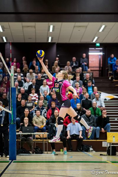 31.3.2016 - (Puijo Wolley N-MesTo N) 31.3.2016 - (Puijo Wolley N-MesTo N)