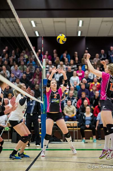 31.3.2016 - (Puijo Wolley N-MesTo N) 31.3.2016 - (Puijo Wolley N-MesTo N)