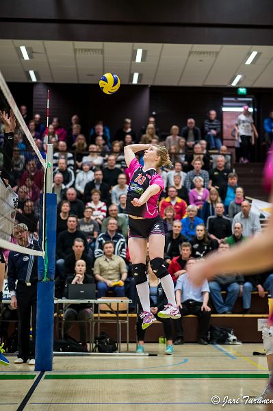 31.3.2016 - (Puijo Wolley N-MesTo N) 31.3.2016 - (Puijo Wolley N-MesTo N)