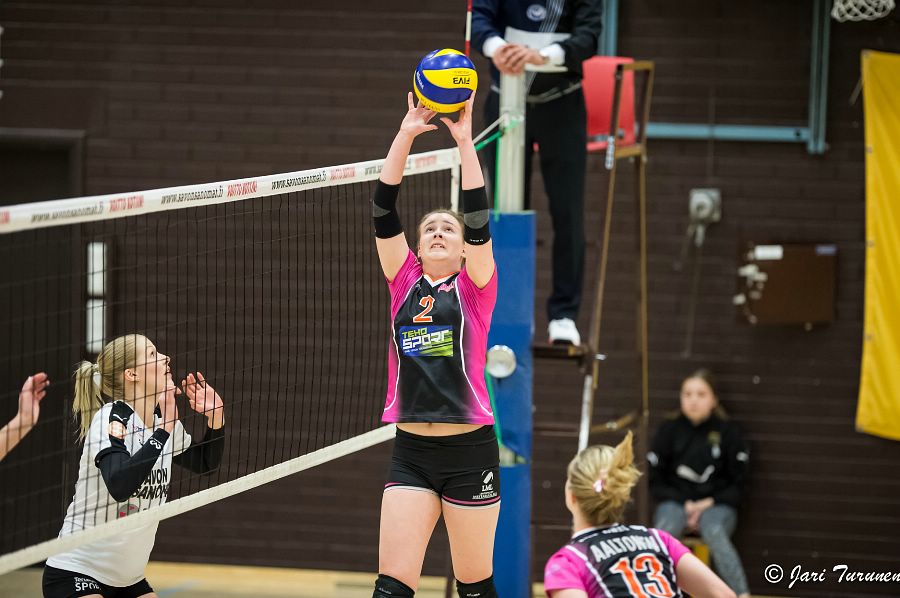 31.3.2016 - (Puijo Wolley N-MesTo N) 31.3.2016 - (Puijo Wolley N-MesTo N)