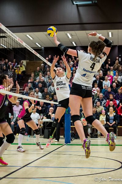 31.3.2016 - (Puijo Wolley N-MesTo N) 31.3.2016 - (Puijo Wolley N-MesTo N)