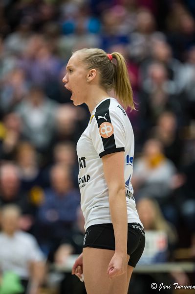 31.3.2016 - (Puijo Wolley N-MesTo N) 31.3.2016 - (Puijo Wolley N-MesTo N)