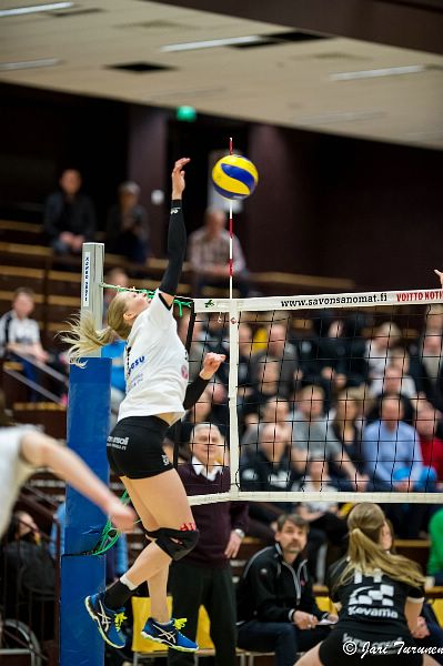 31.3.2016 - (Puijo Wolley N-MesTo N) 31.3.2016 - (Puijo Wolley N-MesTo N)